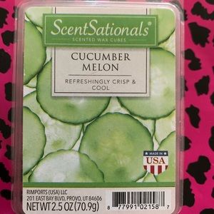 Cucumber Melon wax cubes